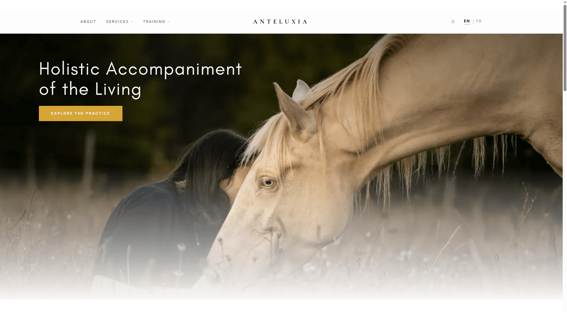Anteluxia Resonance - animal communication and holistic practice website